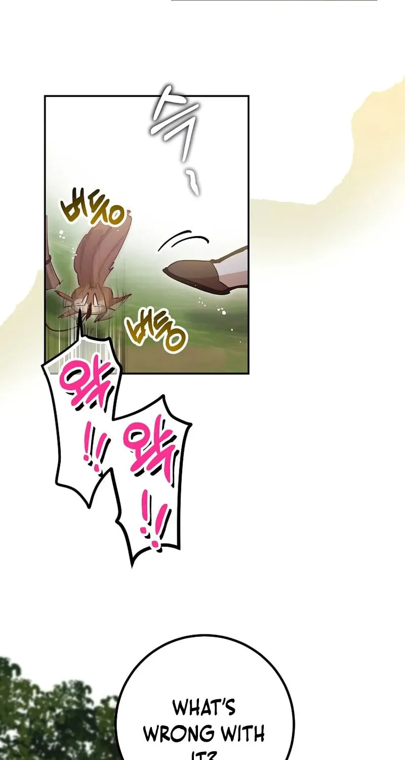 Read As the Heart Led chapter 33 image 16 on Lezhin