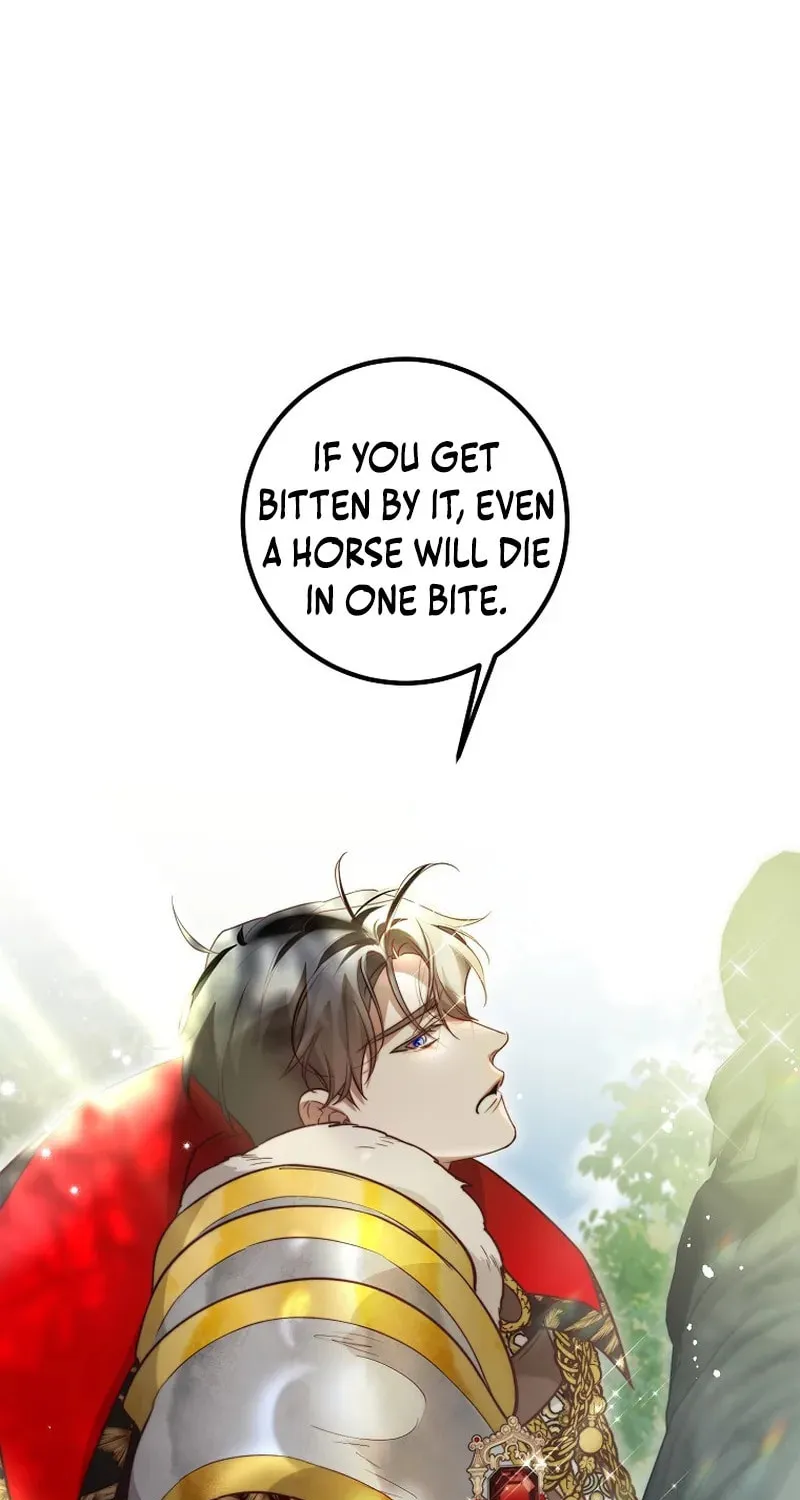Read As the Heart Led chapter 33 image 69 on Lezhin