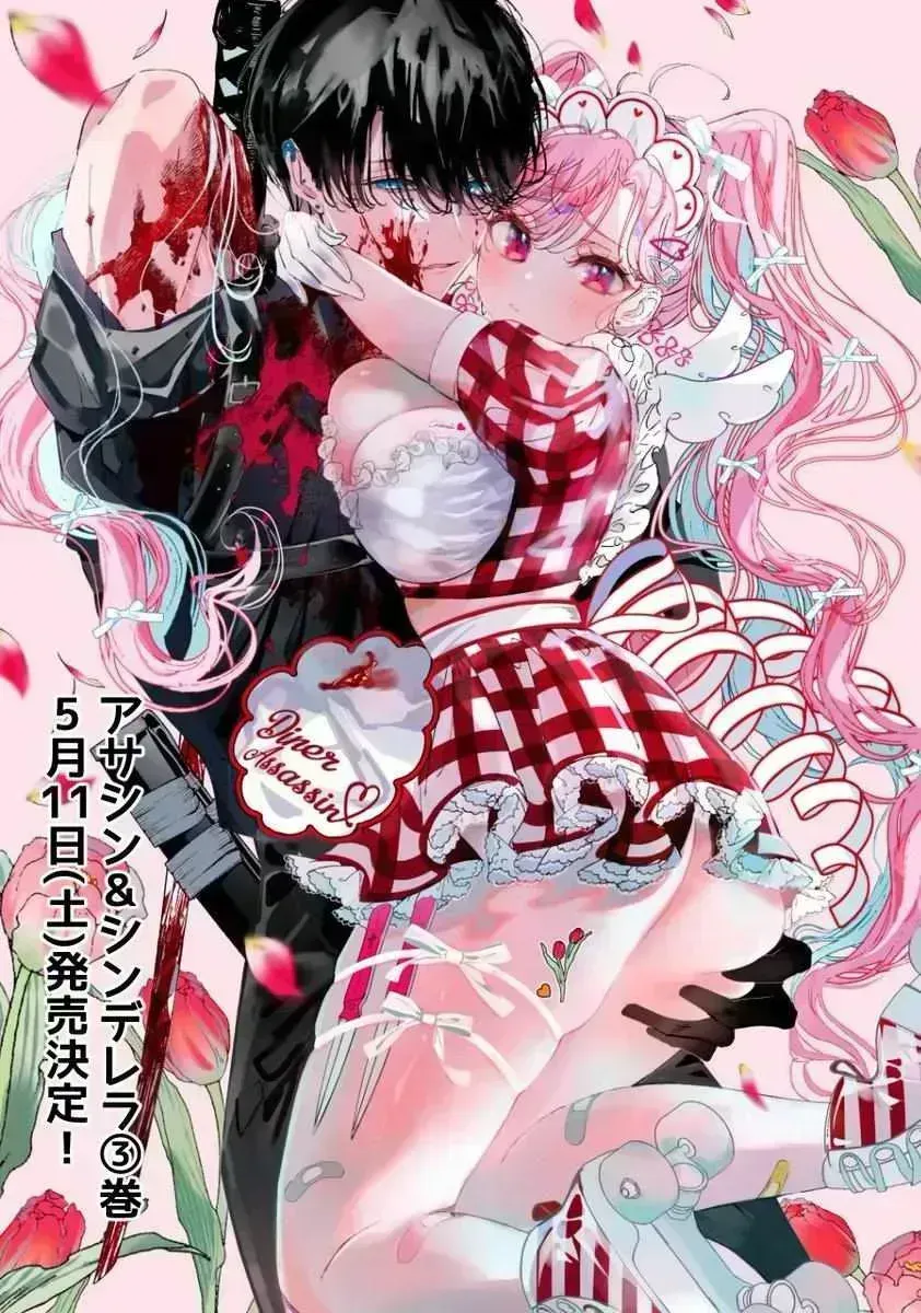 Read Assassin × Cinderella chapter 26.9 image 3 on Lezhin
