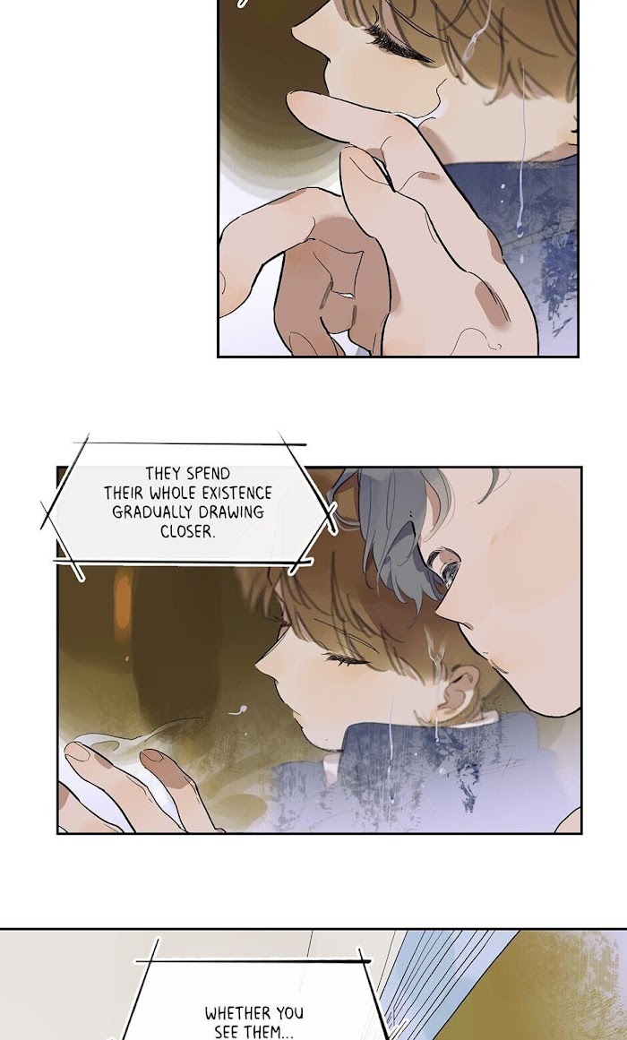 Read Asterism chapter 40 image 33 on Lezhin