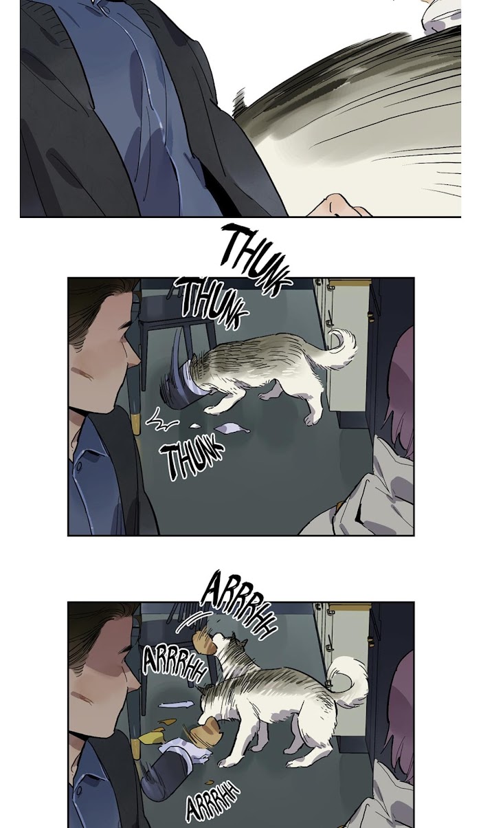 Read Asterism chapter 66 image 33 on Lezhin