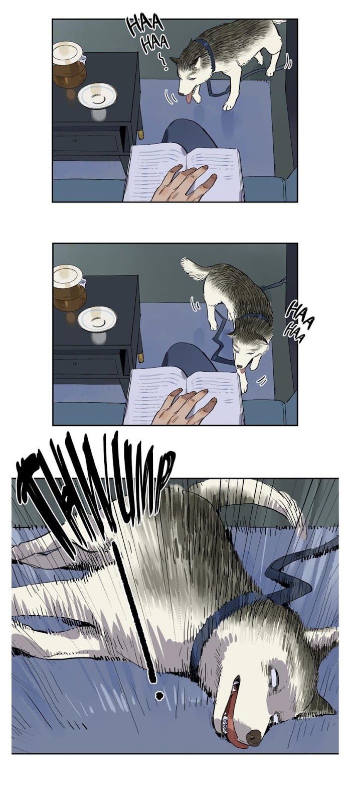Read Asterism chapter 68 image 7 on Lezhin