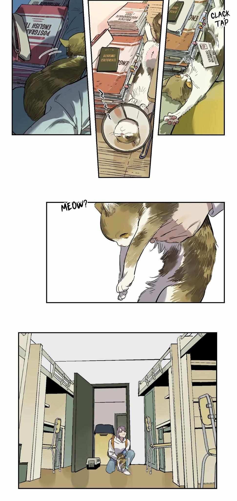 Read Asterism chapter 91 image 21 on Lezhin