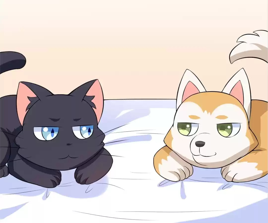 Read At Your Service, Kitty chapter 30 image 6 on Lezhin