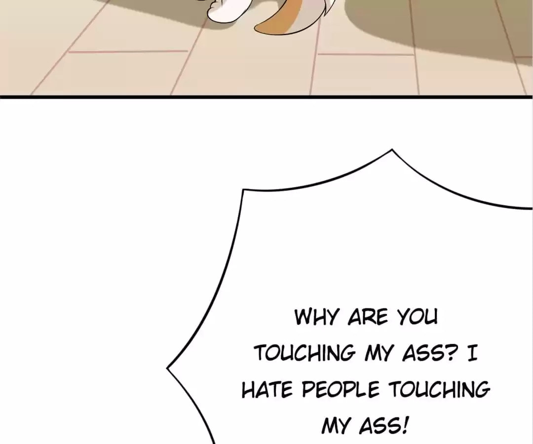 Read At Your Service, Kitty chapter 32 image 11 on Lezhin
