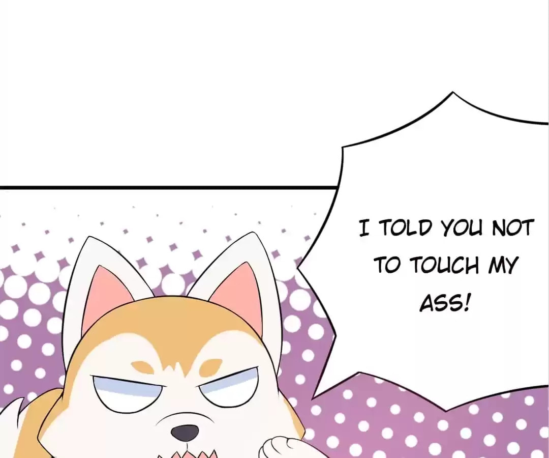 Read At Your Service, Kitty chapter 32 image 24 on Lezhin
