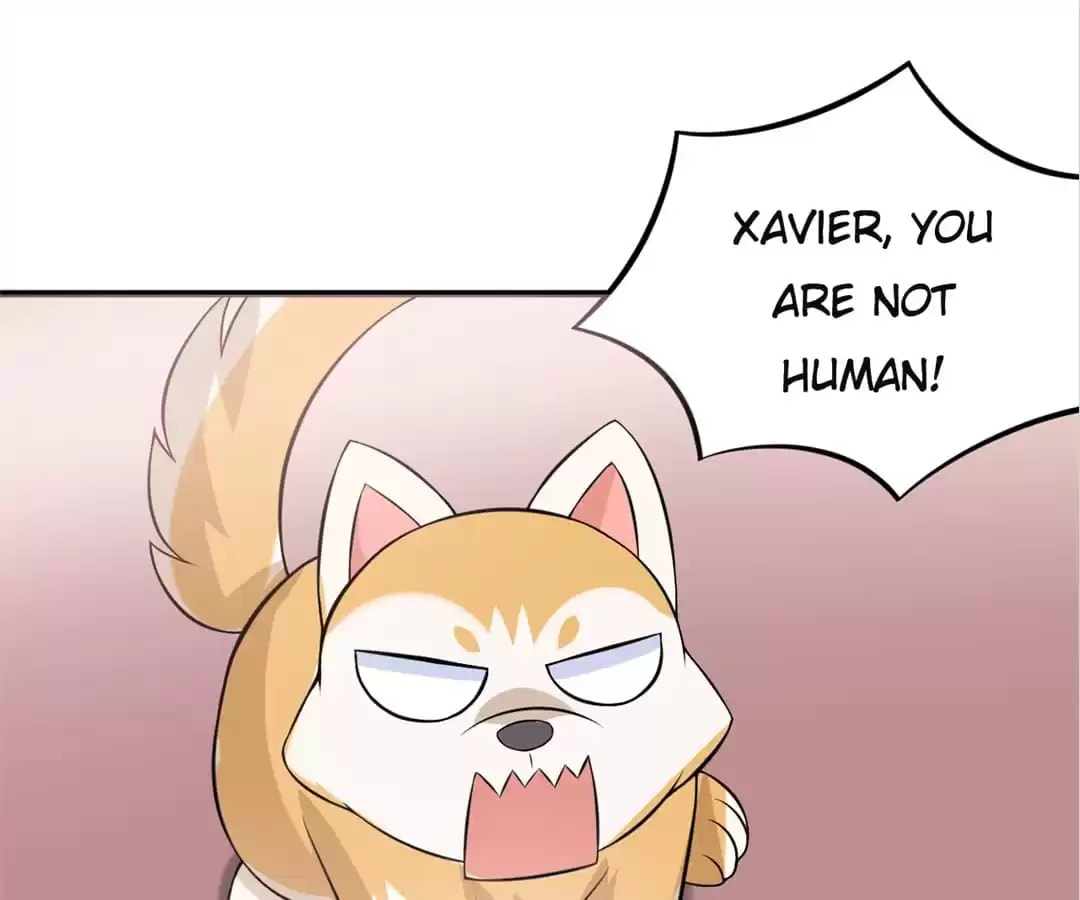 Read At Your Service, Kitty chapter 37 image 11 on Lezhin
