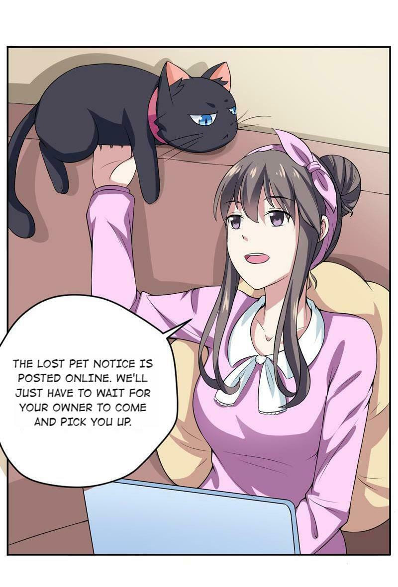 Read At Your Service, Kitty chapter 6 image 11 on Lezhin