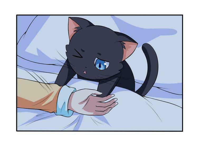 Read At Your Service, Kitty chapter 6 image 4 on Lezhin