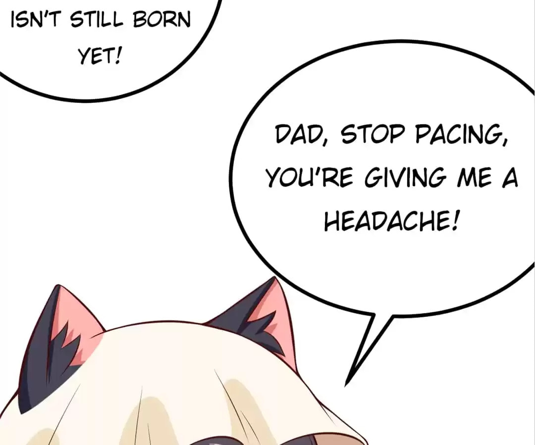 Read At Your Service, Kitty chapter 90 image 32 on Lezhin