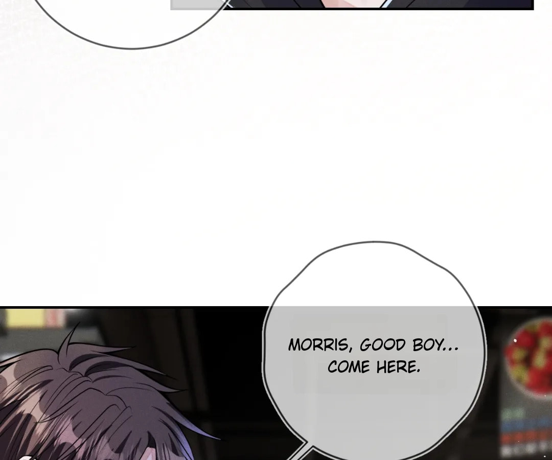 Read Attack and Occupy (Colored) chapter 112 image 12 on Lezhin