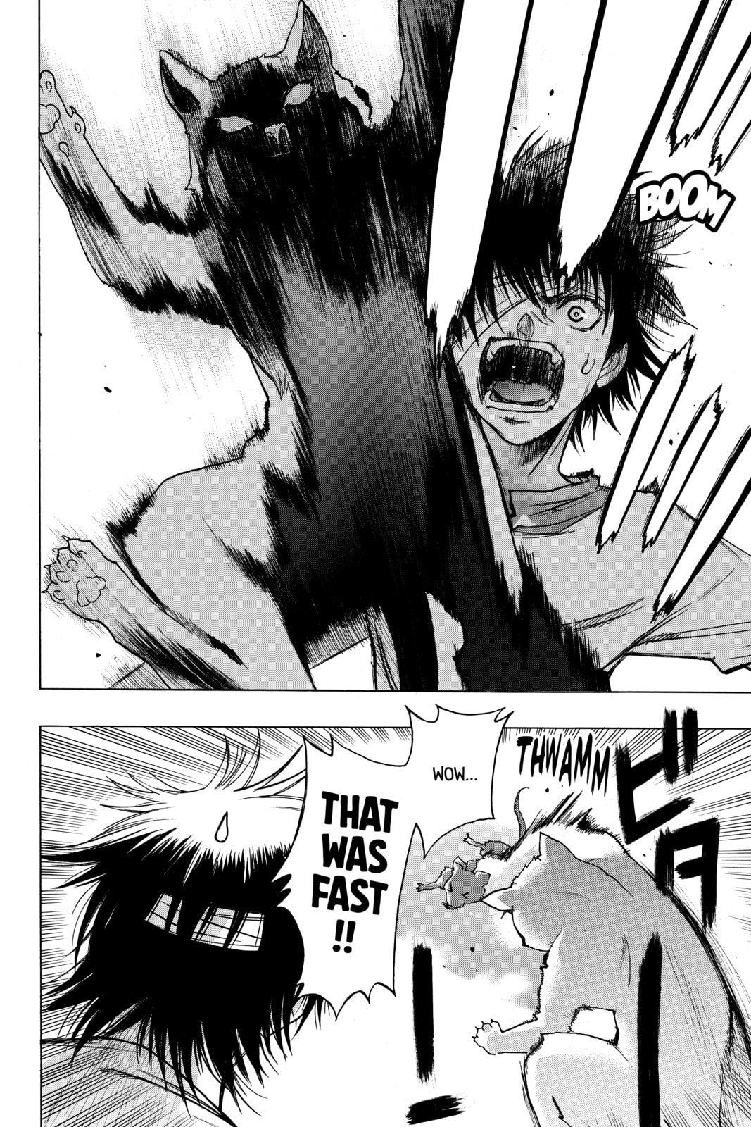 Read Attack on Titan: Before the Fall chapter 13.1 image 5 on Lezhin