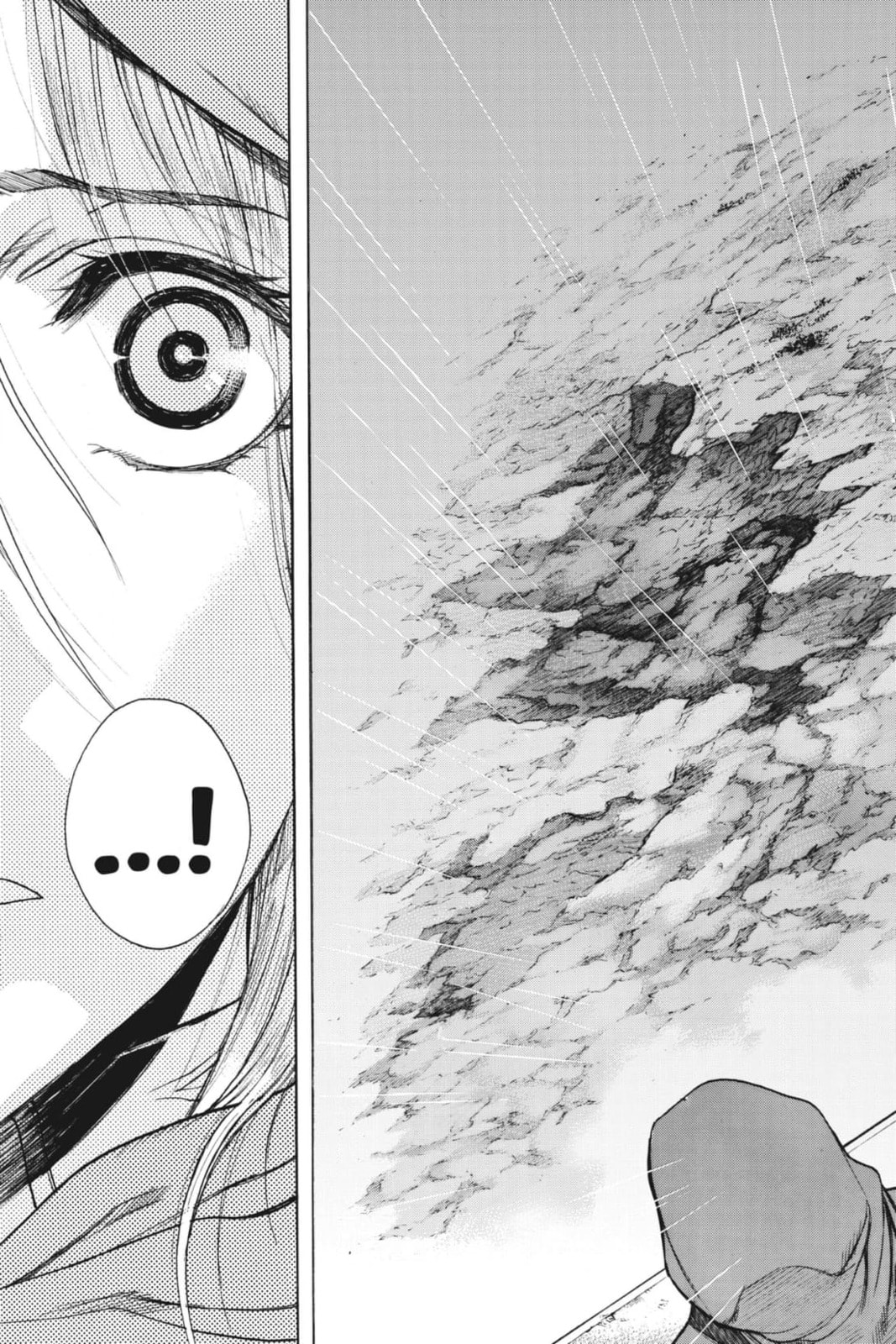 Read Attack on Titan: Before the Fall chapter 66 image 43 on Lezhin