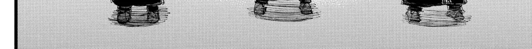 Read Attack on Titan chapter 33 image 7 on Lezhin