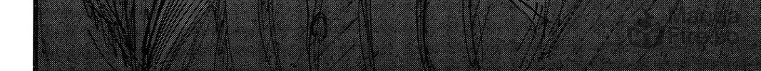 Read Attack on Titan chapter 75 image 39 on Lezhin