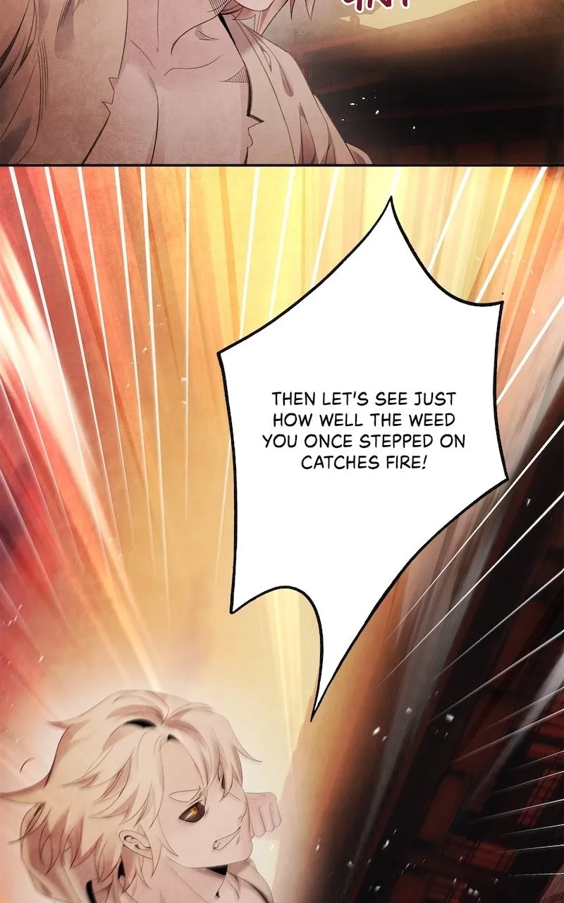 Aza Chapter 66 page 51 - 