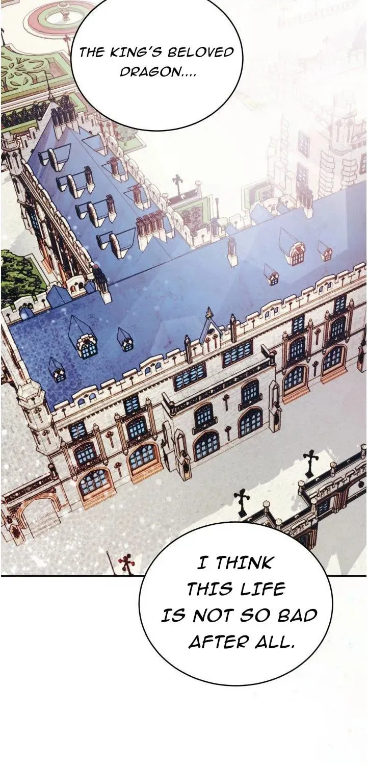 Read Baby Dragon chapter 2 image 14 on Lezhin