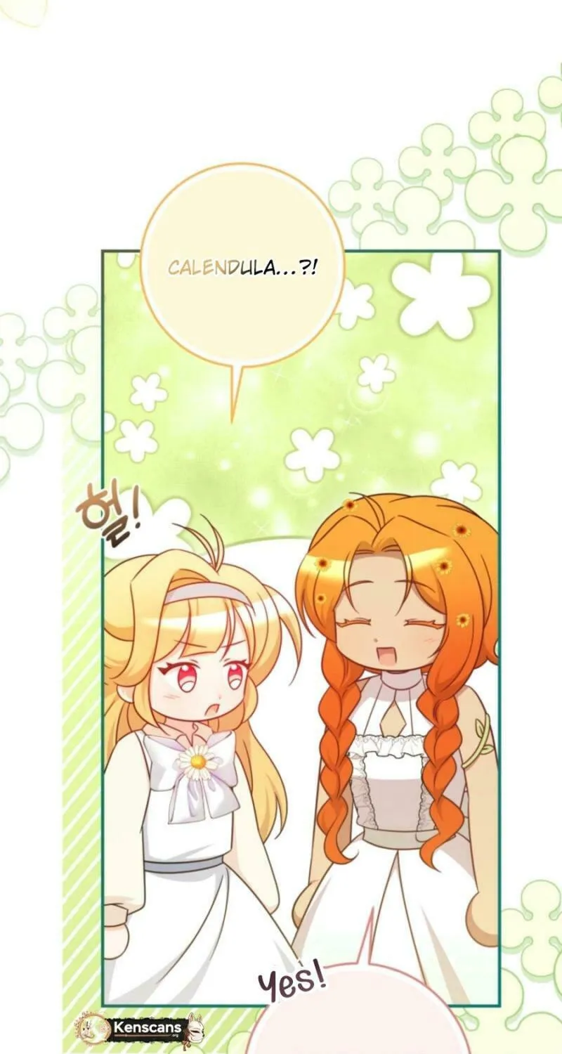 Baby Pharmacist Princess Chapter 96 page 67 - 