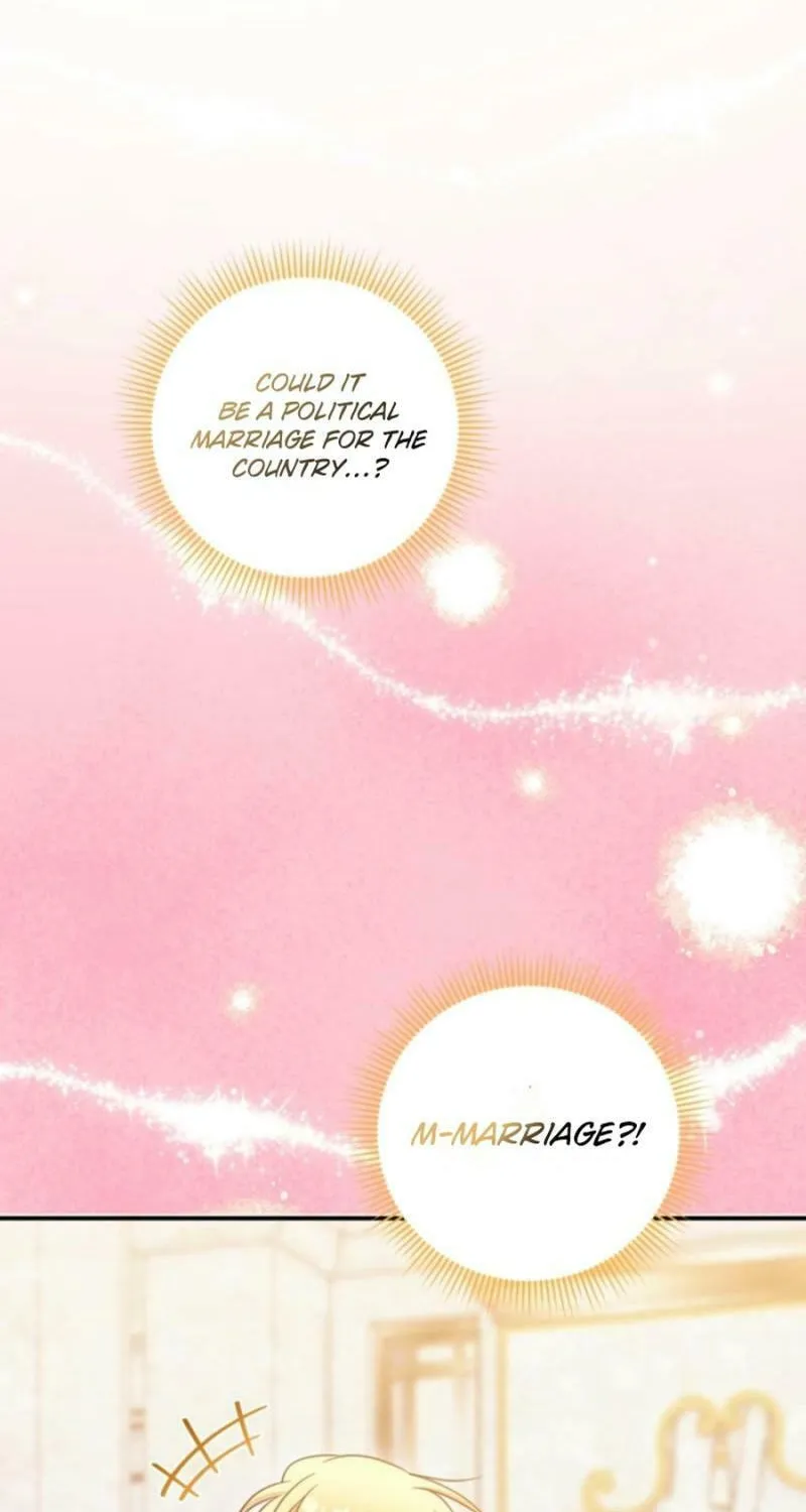 Baby Pharmacist Princess Chapter 96 page 100 - 