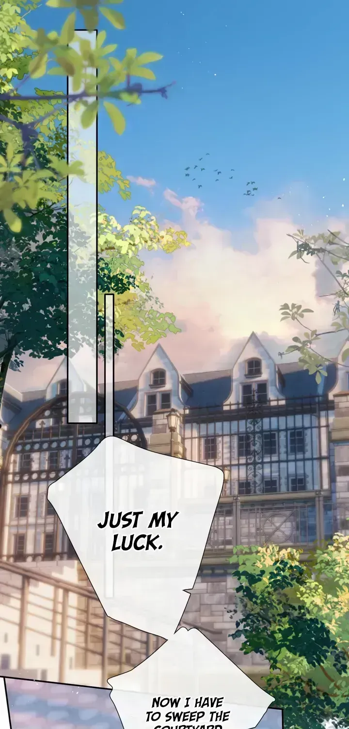 Read Back to Spring chapter 1.2 image 40 on Lezhin