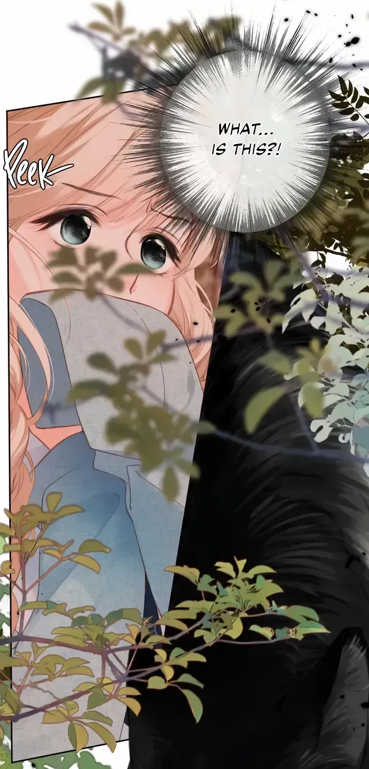Read Back to Spring chapter 1.2 image 52 on Lezhin