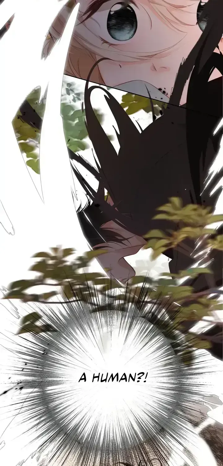 Read Back to Spring chapter 1.4 image 60 on Lezhin