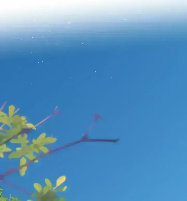 Read Back to Spring chapter 1.5 image 39 on Lezhin