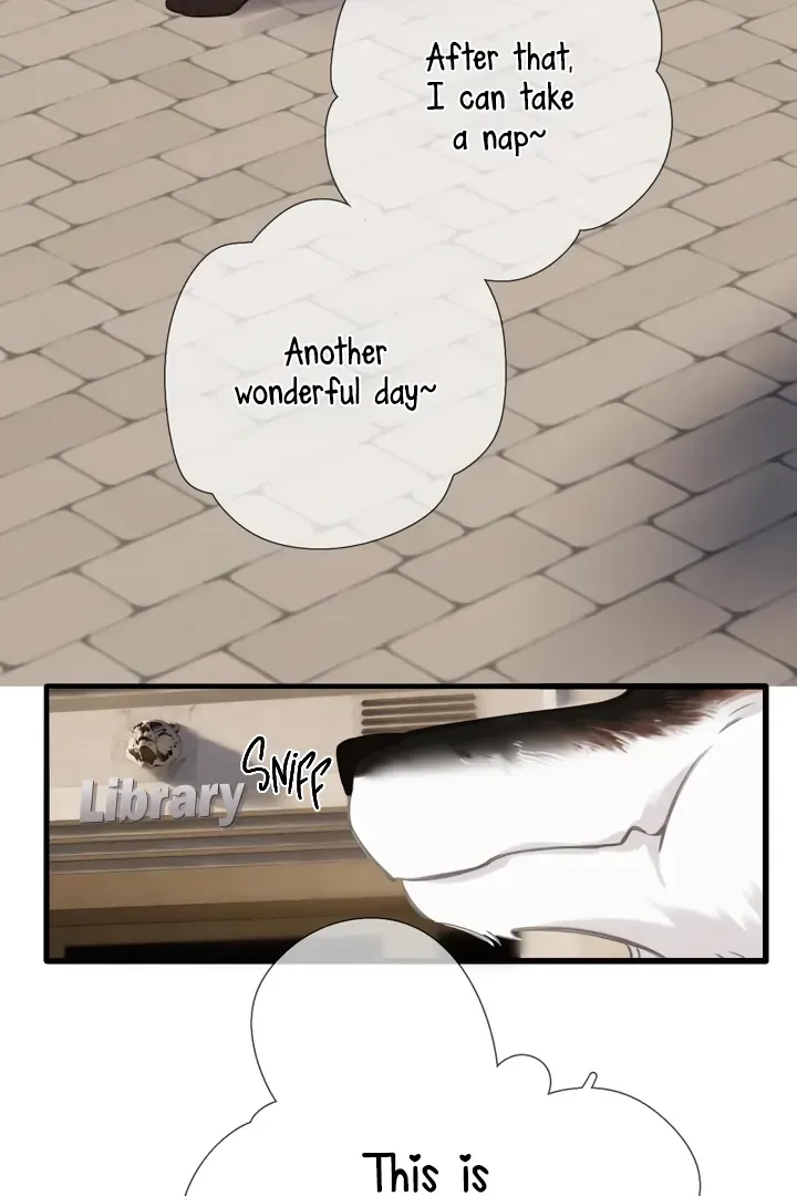 Read Back to Spring chapter 45 image 51 on Lezhin