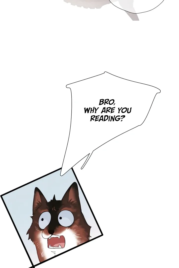 Read Back to Spring chapter 45 image 55 on Lezhin