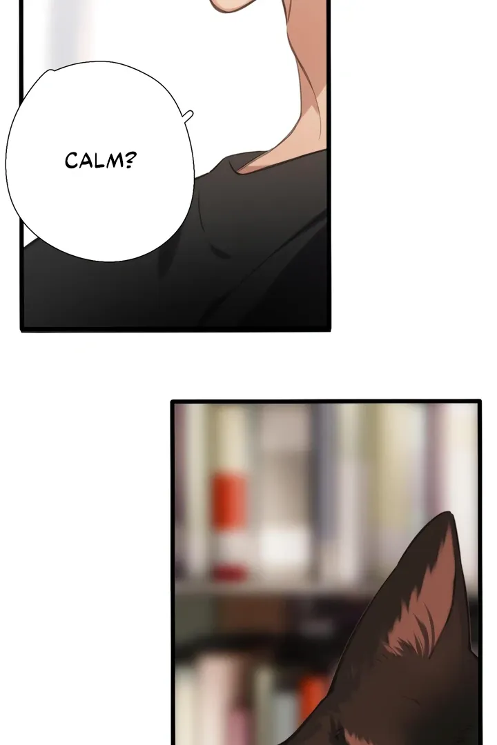 Read Back to Spring chapter 45 image 60 on Lezhin