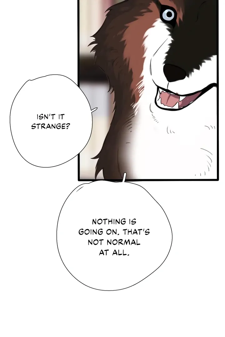 Read Back to Spring chapter 45 image 61 on Lezhin
