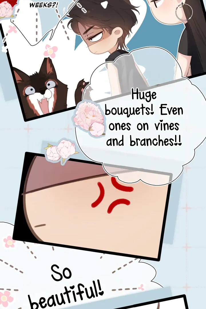 Read Back to Spring chapter 54 image 20 on Lezhin
