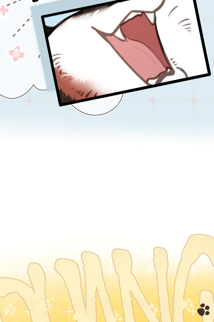 Read Back to Spring chapter 54 image 21 on Lezhin