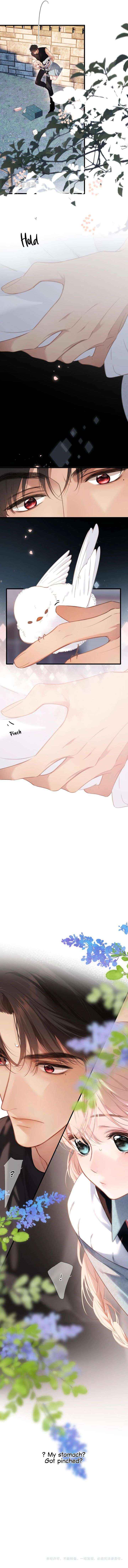 Read Back to Spring chapter 61 image 4 on Lezhin