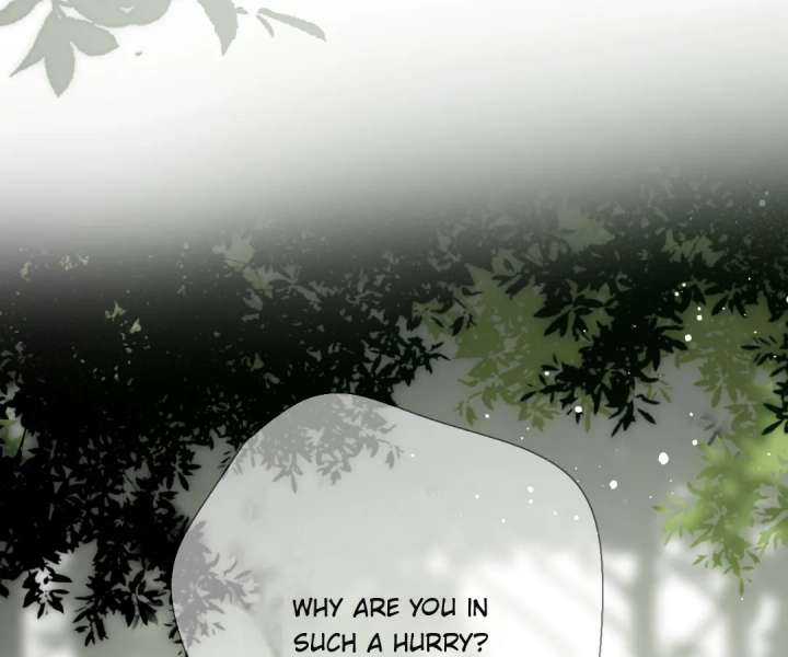 Read Back to Spring chapter 66 image 72 on Lezhin