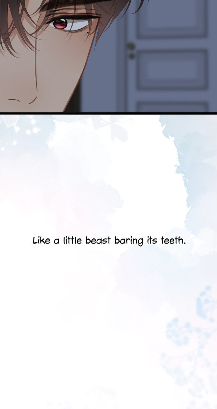 Back to Spring Chapter 79 page 3 - 