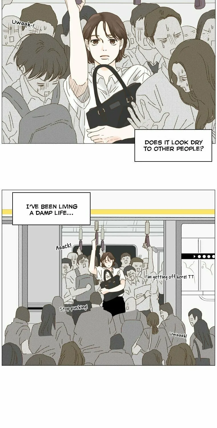 Read Back to Work! chapter 1 image 5 on Lezhin