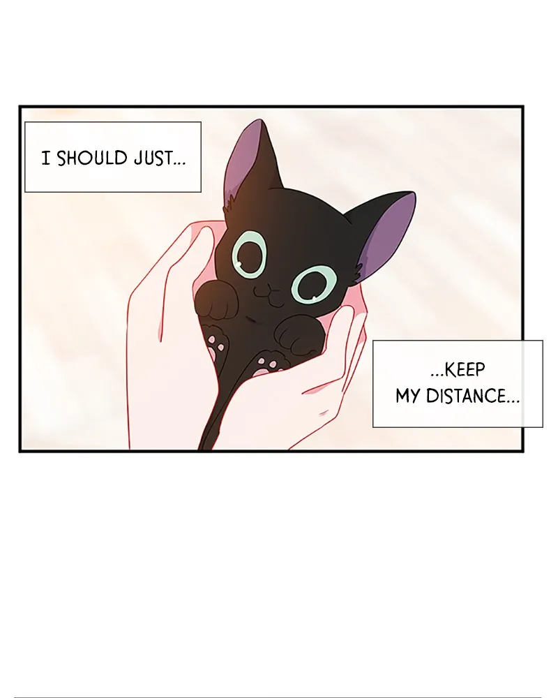 Read Back to You chapter 6 image 40 on Lezhin