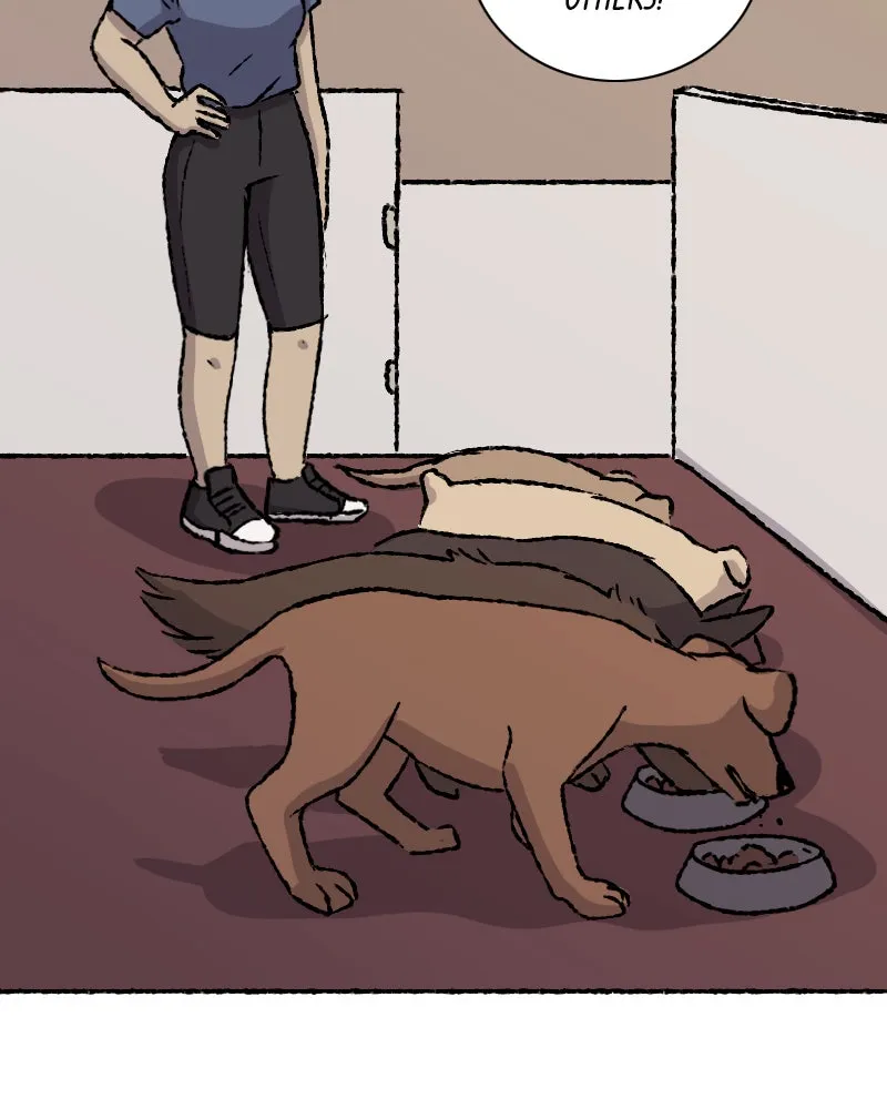 Bad Signs Chapter 134 page 27 - 