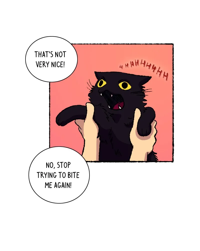 Bad Signs Chapter 71 page 39 - 