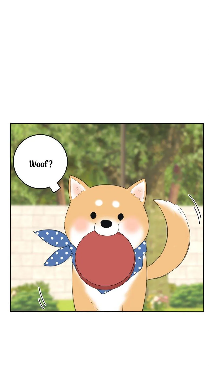 Read Baili Jin Among Mortals chapter 185 image 47 on Lezhin