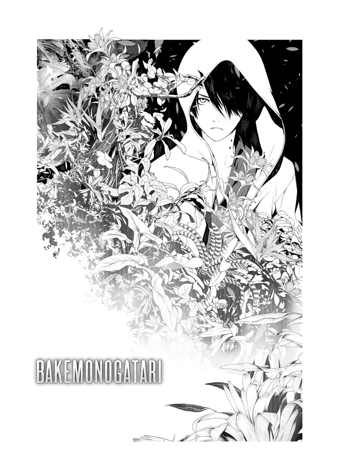 Read Bakemonogatari chapter 104 image 42 on Lezhin