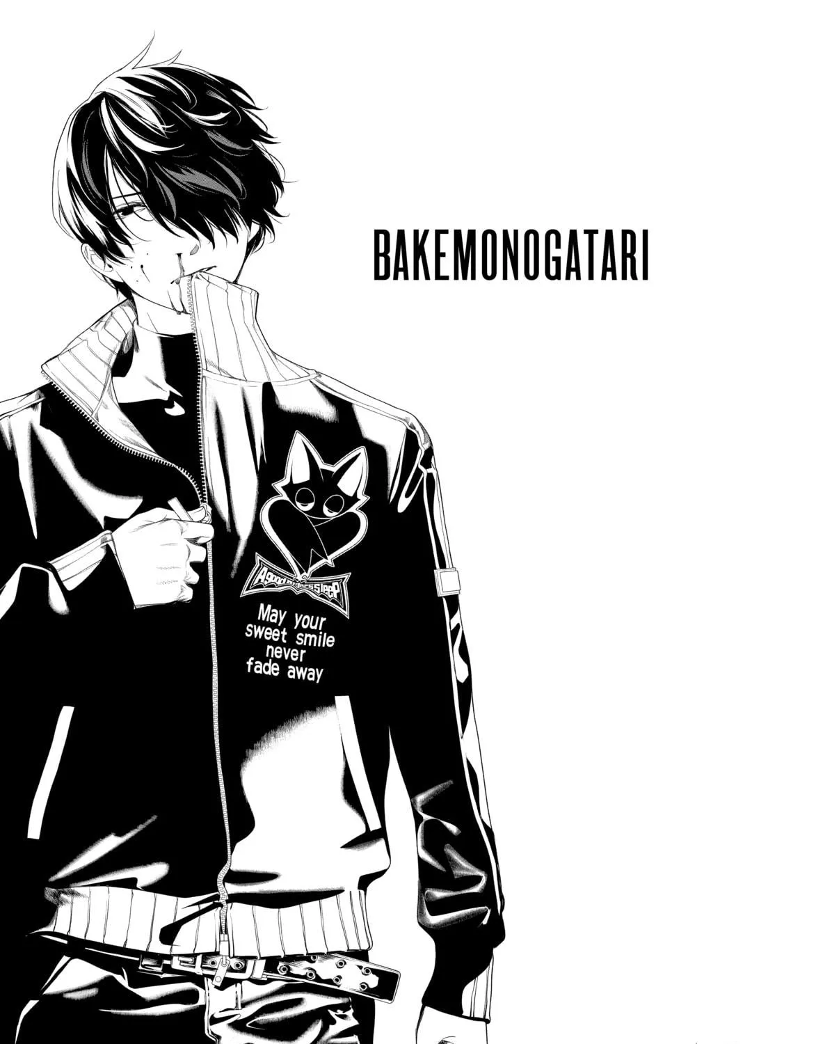 Read Bakemonogatari chapter 160 image 4 on Lezhin