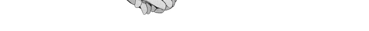 Read Bakemonogatari chapter 184 image 3 on Lezhin