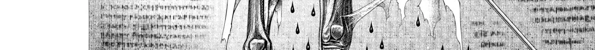 Read Bakemonogatari chapter 35 image 37 on Lezhin