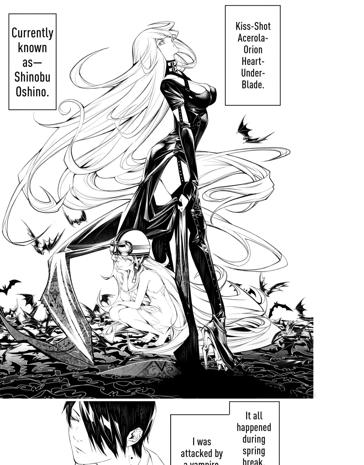 Read Bakemonogatari chapter 65 image 0 on Lezhin