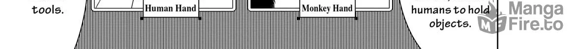 Read Bakemonogatari chapter 71 image 5 on Lezhin