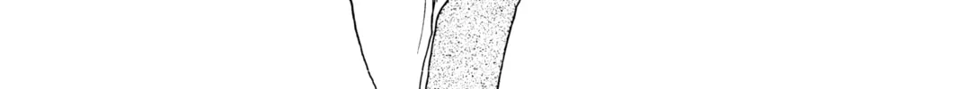 Read Banana Fish chapter 19 image 25 on Lezhin
