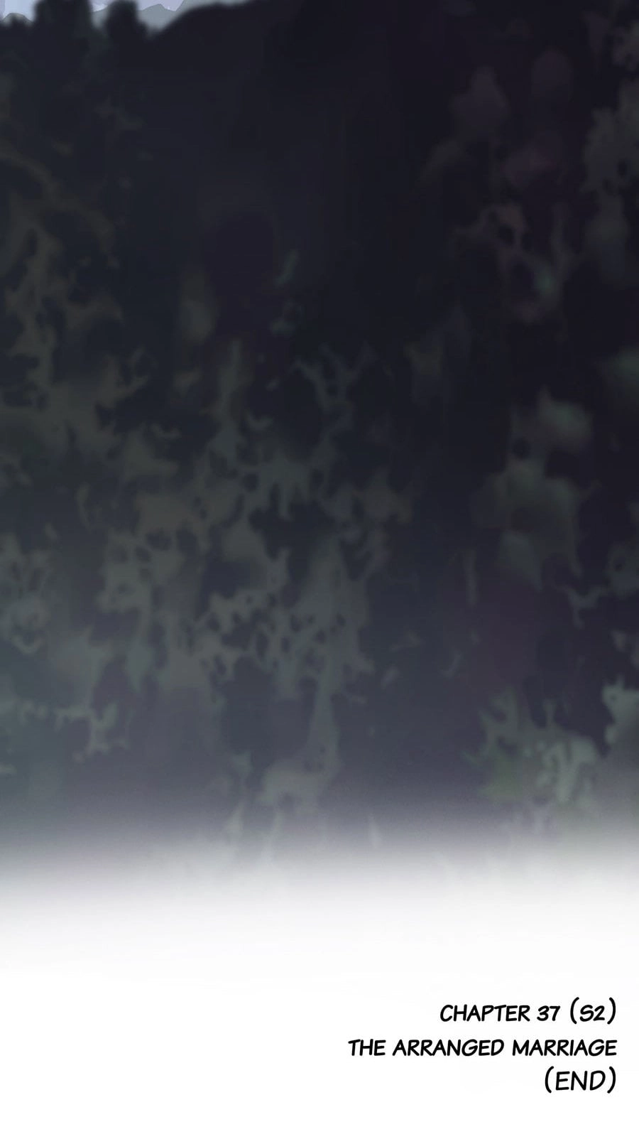 Read Bara no Ouji-sama chapter 37.5 image 13 on Lezhin