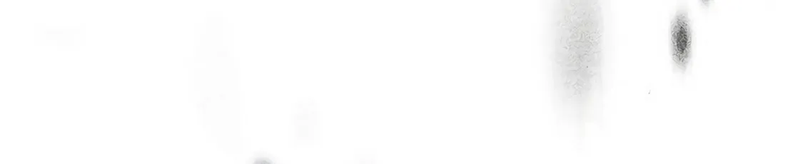Barbarian's Adventure in a Fantasy World Chapter 4 page 48 - 
